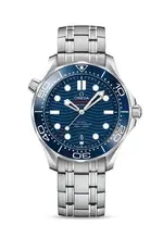 1 - Omega SeaMaster Professional.webp