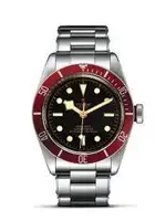 Tudor Black Bay.webp