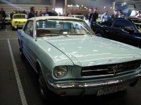 Azul Mustang.jpg