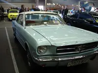 Azul Mustang.webp