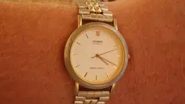 IMGP0088.webp