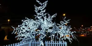 IMG_20181213_192125.webp