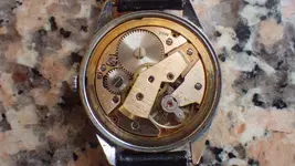 IMGP0215.webp
