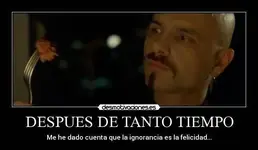 Mehedadocuentaquelaignoranciaeslafelicidad.webp