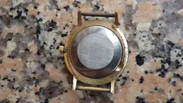 IMGP0211.webp