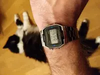 15440541931734716029643336895476.webp