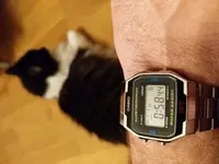 15440542743667933825725008452792.webp
