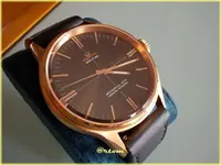 DSCN0385 - f.webp