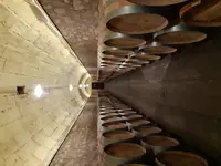 20181206_125850.webp
