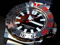 DSCN1211.webp