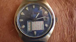 IMGP0115.webp