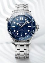 Omega Seamaster Diver 300 Professional 42mm Co-Axial Master Chronometer Cal. 8800 (0).jpg