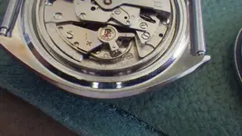 IMGP3182.webp