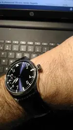 pilot 2.webp