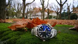 IMG_20181207_092847.webp