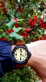 20181207_165854.webp