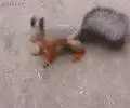 tumblr_oma1rbNbXR1ukldkho1_400.webp tumblr_oma1rbNbXR1ukldkho1_400.webp