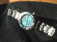 IMG_0128.webp IMG_0128.webp