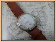 021.Omega 265.webp 021.Omega 265.webp