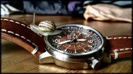 maderaytalla___BRlhu2tgNh7___.webp