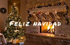 arbol.webp