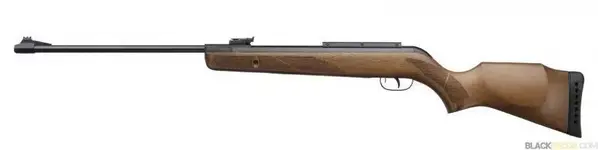 carabina_gamo_hunter_440.webp