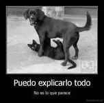 desmotivado_es_Puedo-explicarlo-todo-No-es-lo-que-parece_134710802068.webp
