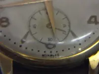 DSC03473.webp