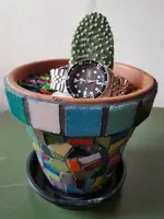 Seiko Prospex SKX007 Cal. 7S26 Auto 200M  (1).webp
