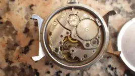 IMGP0142.webp