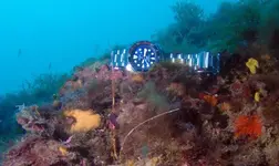 Seiko PADI.webp