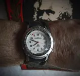 Timex Expedition.webp