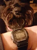 20181219_193345.webp
