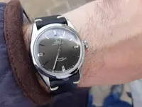 15460831951383645511347686248332.webp
