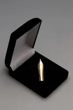 bock Pin nib, type 380, gold 18K and case.webp