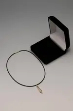 bock Necklace with 2-tone nib, type 250, gold 18K and case.webp