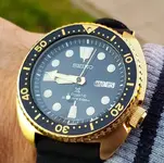 20190115_091352.webp