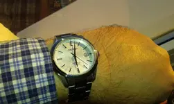 20190120_180230.webp