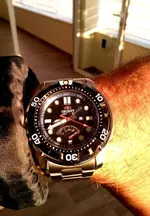 IMG_20190122_084427.webp