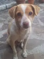 20130524_210339.webp