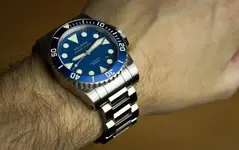 HelsonDiver.webp HelsonDiver.webp