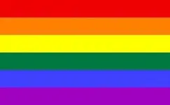 bandera_gay.webp