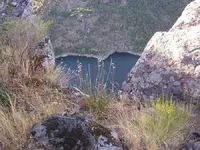 ZAMORA_201309 029.webp