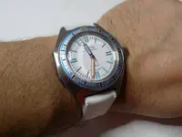 DSCN1330[1].webp