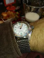 15497138739321954715551.webp