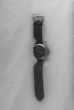 19438FFF-CDCA-4AAD-AC41-EE1A075B4B6D.webp