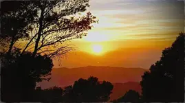 RLUJ2078-EFFECTS.webp