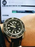 Marinemaster15_02.webp
