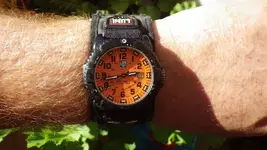 IMGP0300.webp