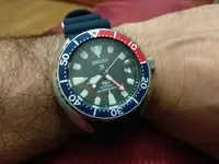 15499130421624016163339612702223.webp